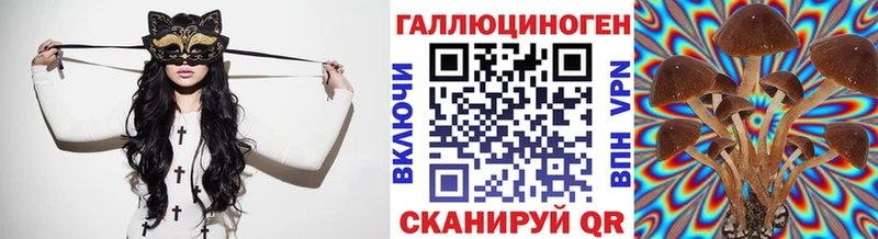 Псилоцибиновые грибы GOLDEN TEACHER Шенкурск