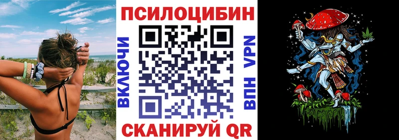 Галлюциногенные грибы Cubensis Шенкурск